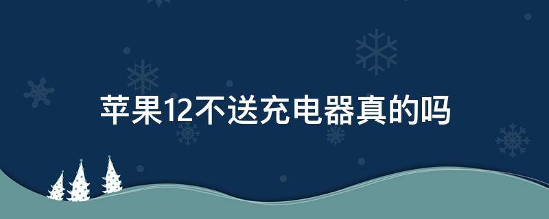 苹果12不送充电器真的吗（苹果12不送充电器是谣言吗）