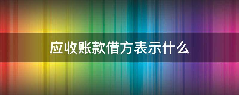 应收账款借方表示什么（资产负债表应收账款借方表示什么）