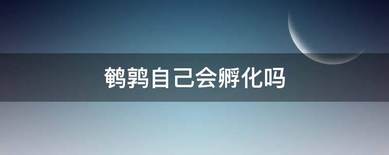 鹌鹑自己会孵化吗（鹌鹑为啥不能自己孵化）