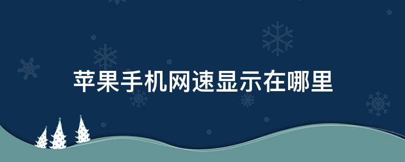 苹果手机网速显示在哪里（苹果手机的网速显示在哪里）