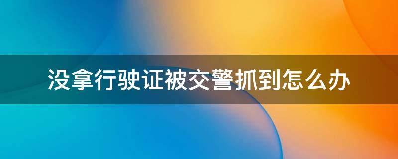 没拿行驶证被交警抓到怎么办（机动车行驶证没带被交警抓住怎么办）