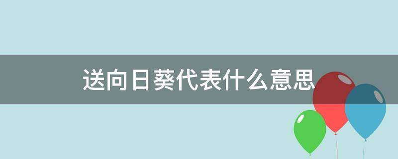 送向日葵代表什么意思 男生给女生送向日葵代表什么意思