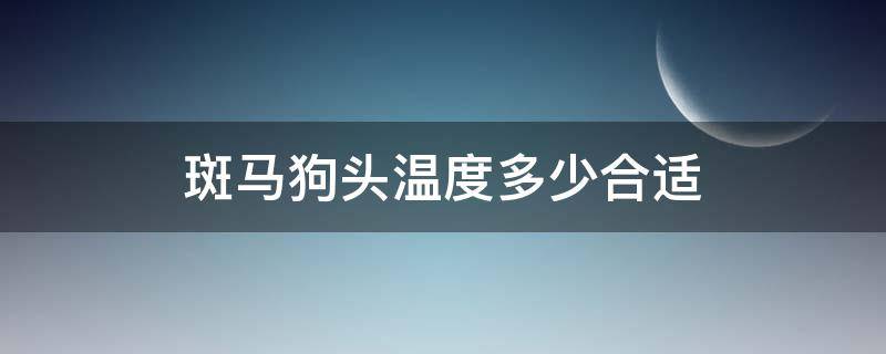 斑马狗头温度多少合适 斑马狗头最适宜的温度是多少