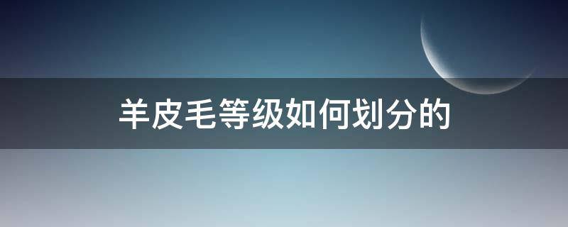 羊皮毛等级如何划分的（羊皮毛一体分几个等级）