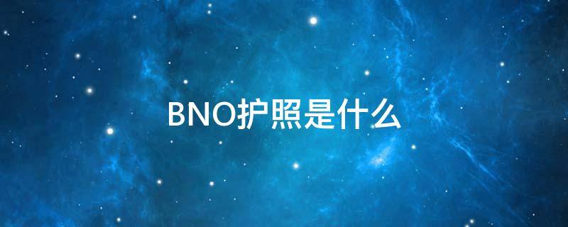 BNO护照是什么 bno护照是什么意思 视频