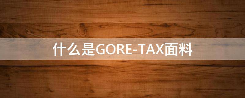 什么是GORE-TAX面料（goretex面料是什么做的）