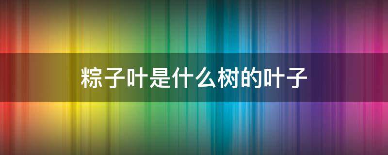 粽子叶是什么树的叶子 北方粽子叶是什么树的叶子