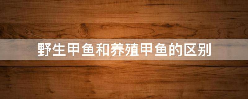 野生甲鱼和养殖甲鱼的区别 野生甲鱼和养殖甲鱼的区别图片大全