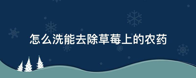 怎么洗能去除草莓上的农药（怎样清洗草莓上的农药）