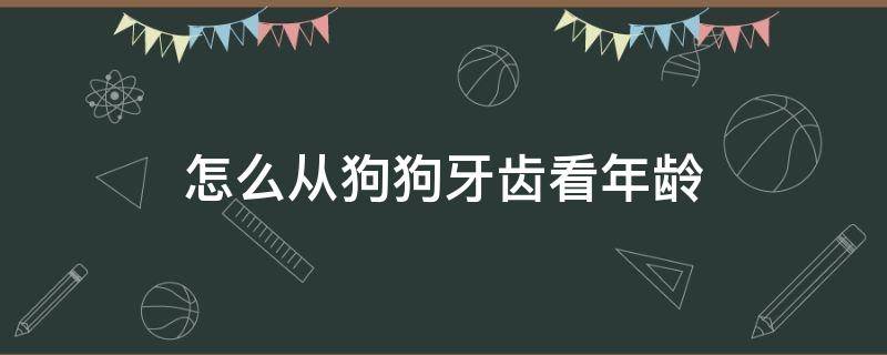 怎么从狗狗牙齿看年龄 怎么从狗的牙齿看狗的年龄