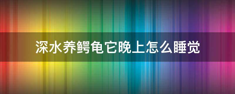 深水养鳄龟它晚上怎么睡觉（鳄龟睡觉的时候是怎样的）