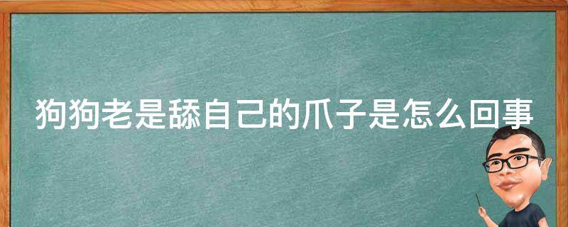 狗狗老是舔自己的爪子是怎么回事（狗狗老是舔自己的爪子怎么办）