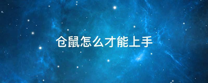 仓鼠怎么才能上手 仓鼠怎么才能上手玩