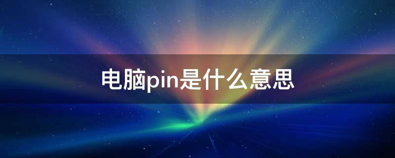 电脑pin是什么意思 荣耀电脑pin是什么意思