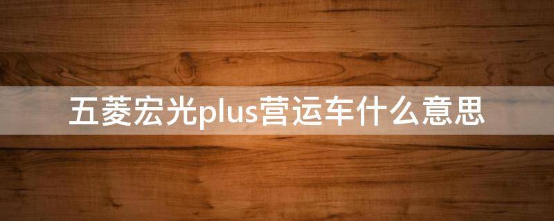 五菱宏光plus营运车什么意思 五菱宏光plus是啥意思