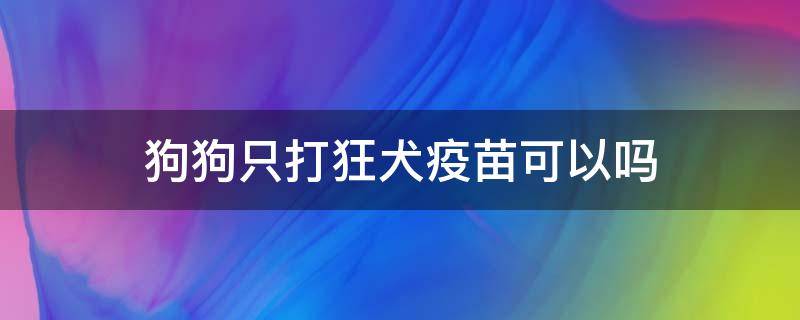 狗狗只打狂犬疫苗可以吗 狗狗只用打狂犬疫苗吗