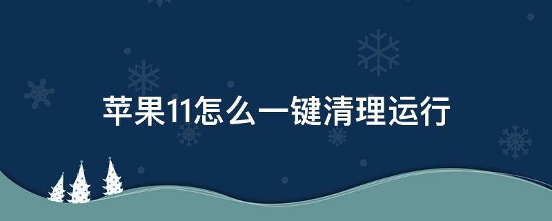 苹果11怎么一键清理运行（苹果11怎样一键清理所有运行）