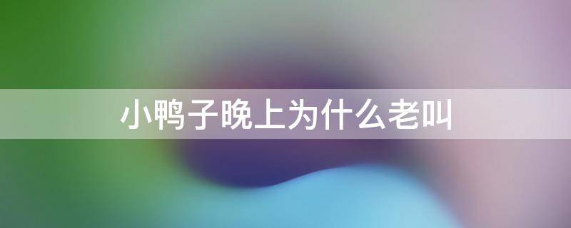 小鸭子晚上为什么老叫 小鸭子晚上乱叫怎么回事