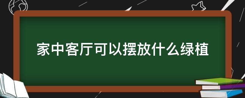 家中客厅可以摆放什么绿植（客厅里放什么绿植）