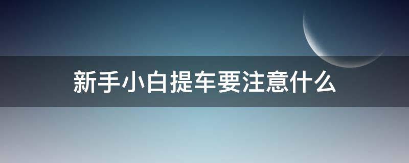 新手小白提车要注意什么（小白提车注意事项）