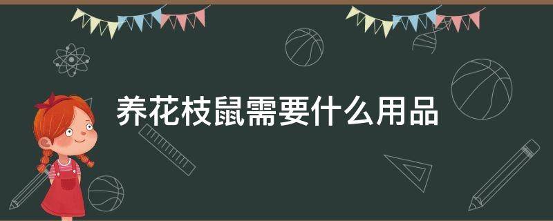 养花枝鼠需要什么用品（养花枝鼠用什么垫料）