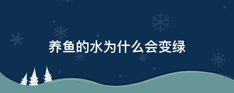 养鱼的水为什么会变绿（养鱼的水为什么会发绿）