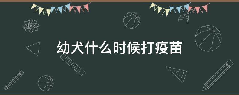 幼犬什么时候打疫苗 阿拉斯加幼犬什么时候打疫苗