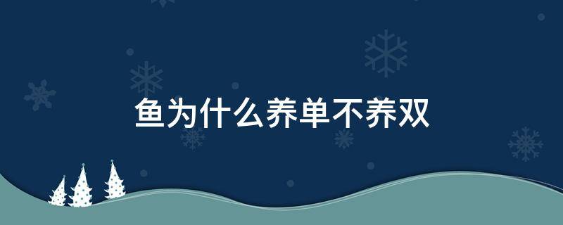 鱼为什么养单不养双（鱼为啥养单不养双）