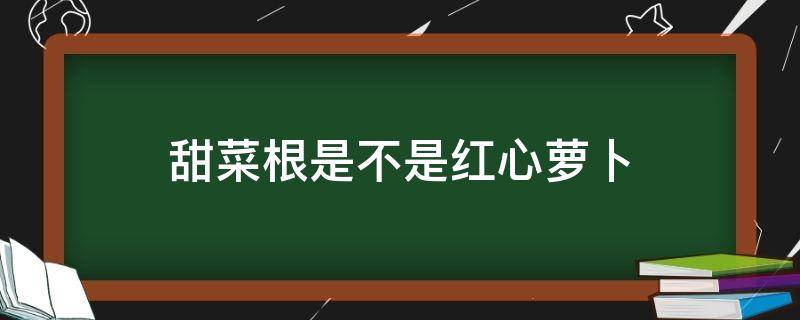 甜菜根是不是红心萝卜 甜菜根是红萝卜吗?