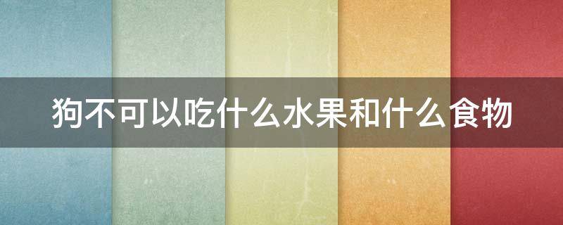 狗不可以吃什么水果和什么食物 狗不能吃哪些东西水果