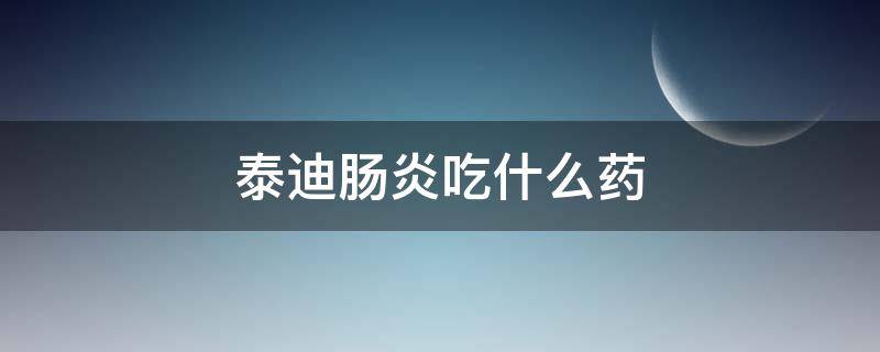 泰迪肠炎吃什么药 泰迪急性肠胃炎吃啥药