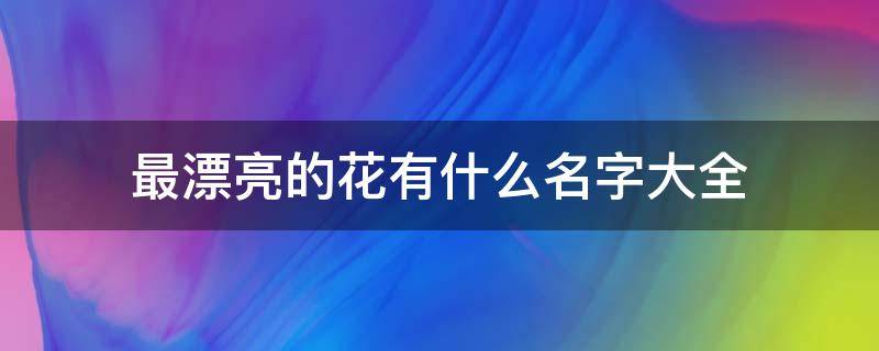 最漂亮的花有什么名字大全 十大最漂亮的花名