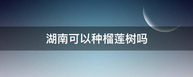 湖南可以种榴莲树吗 榴莲树能在湖南生长吗