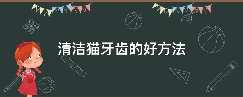 清洁猫牙齿的好方法 给猫清洁牙齿的方法