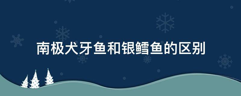 南极犬牙鱼和银鳕鱼的区别 南极银鳕鱼和法国银鳕鱼的区别