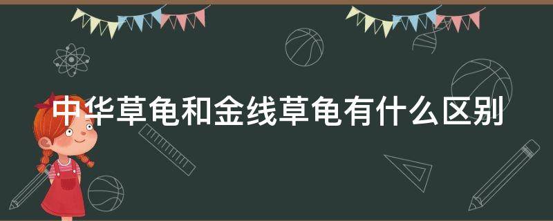 中华草龟和金线草龟有什么区别（中华草龟和金线草龟有什么区别?）