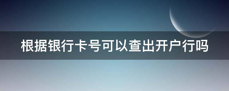 根据银行卡号可以查出开户行吗（输入卡号查询开户行支行）