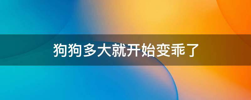 狗狗多大就开始变乖了 狗狗到几岁会变得很乖