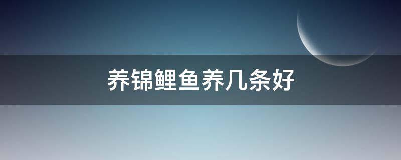 养锦鲤鱼养几条好（公司养锦鲤鱼养几条好）