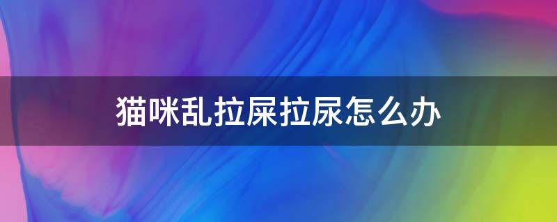 猫咪乱拉屎拉尿怎么办 猫咪乱拉屎撒尿怎么办?