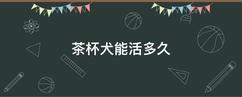 茶杯犬能活多久 比熊茶杯犬能活多久