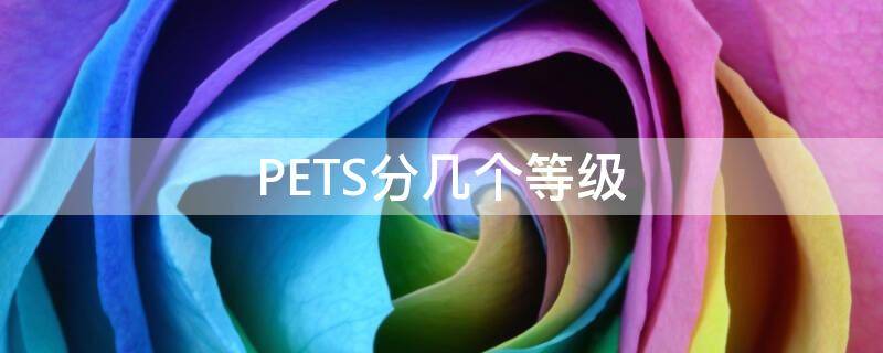 PETS分几个等级 pets一共有几级