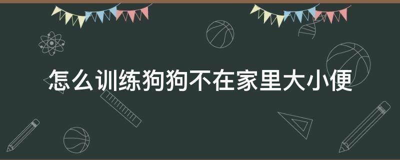 怎么训练狗狗不在家里大小便 怎样训练小狗狗不随地大小便