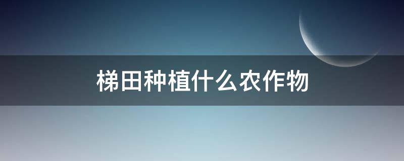 梯田种植什么农作物（梯田种植什么农作物效益最好）