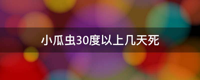 小瓜虫30度以上几天死 30度小瓜虫会死吗