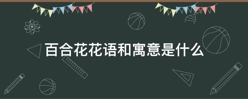 百合花花语和寓意是什么（橙色百合花花语和寓意是什么）