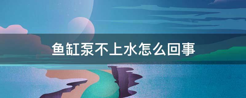 鱼缸泵不上水怎么回事 养鱼缸水泵上不去水是什么原因?