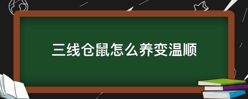 三线仓鼠怎么养变温顺 三线小仓鼠怎么养