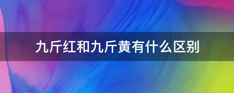 九斤红和九斤黄有什么区别 九斤红与九斤黄是不是同一种鸡