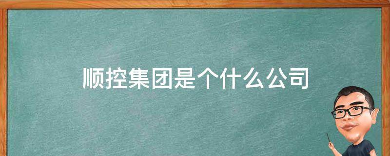 顺控集团是个什么公司 顺控集团下属企业